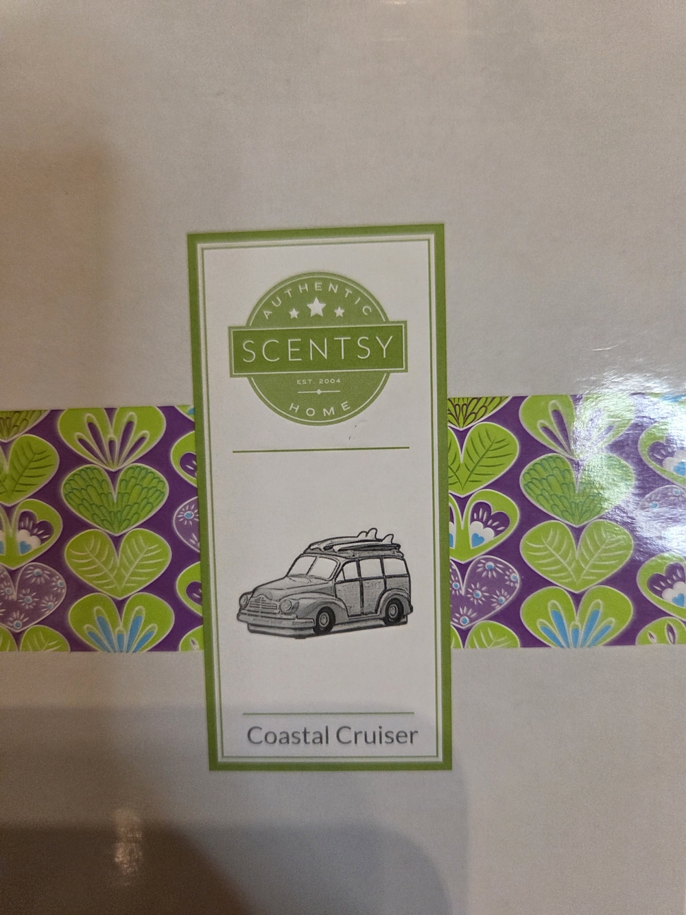 Scentsy Coastal Cruiser Box with Green and Purple Wax Melt Warmer